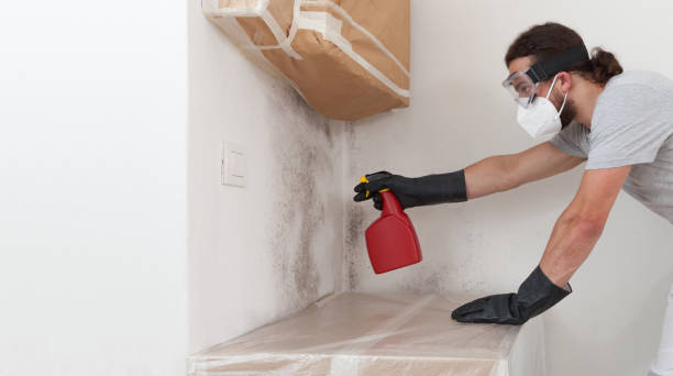 Professional Crawl Space Mold Remediation technician working in Whippany, NJ