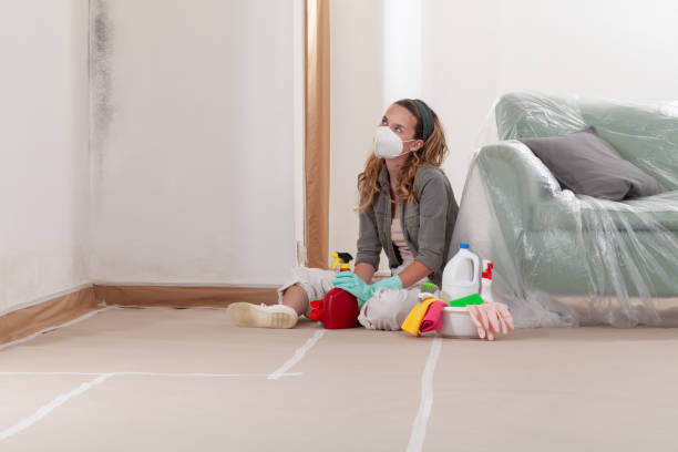 Reliable Crawl Space Mold Remediation contractor in Whippany, NJ by Mold Remediation HQ